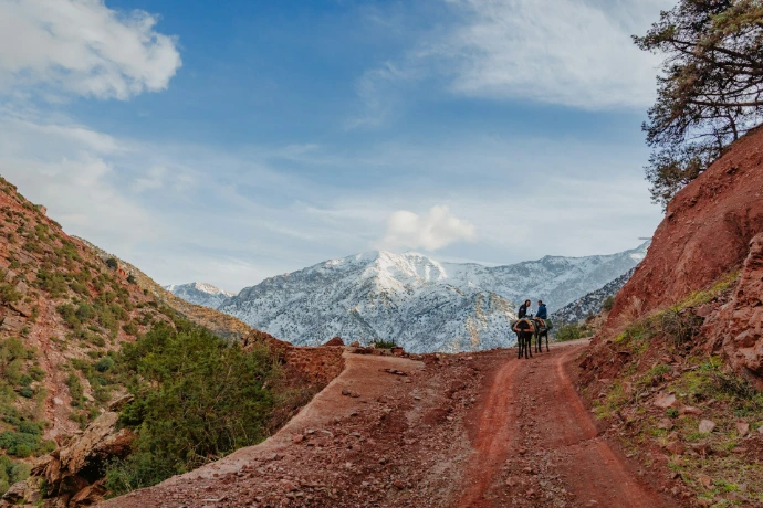 Two people on donkeys travel a dirt path towards mountains.