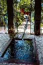 unsplash_mPqeteCy0TE_marrakech garden.jpg.webp